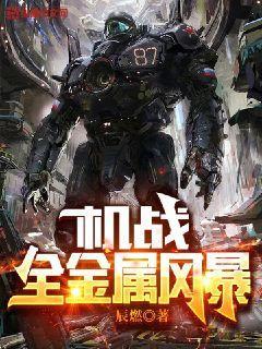 机战：全金属风暴罗阎