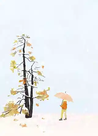 陈青源董问君